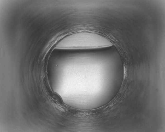 X0000080790291200612151105