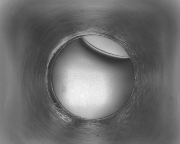 X0000080790292200612151105