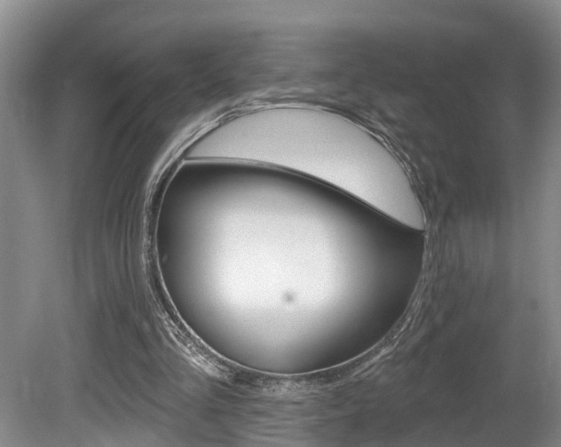 X0000080790293200612151105
