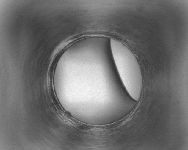 X0000080790294200612151105