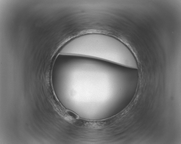 X0000080790297200612151105