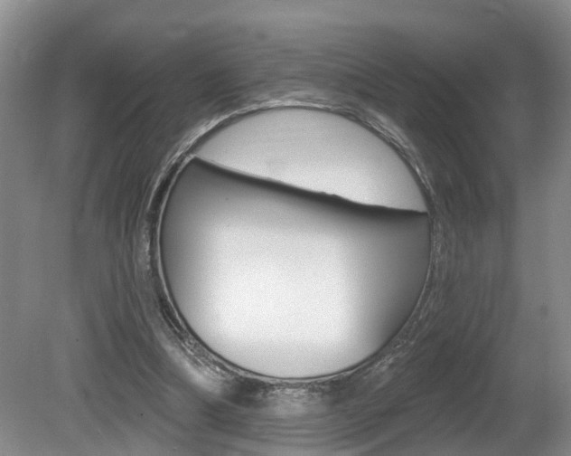 X0000080790298200612151105