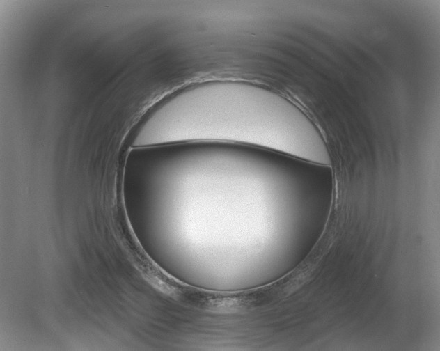 X0000080790301200612151105