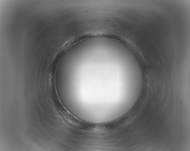 X0000080790308200612151105