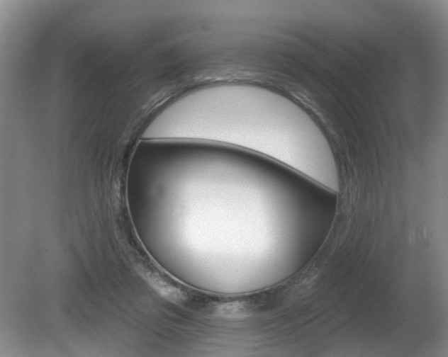 X0000080790309200612151105