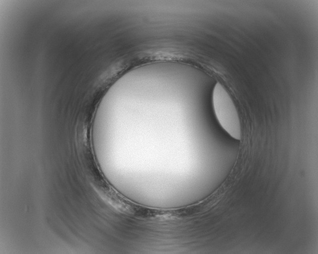 X0000080790310200612151105