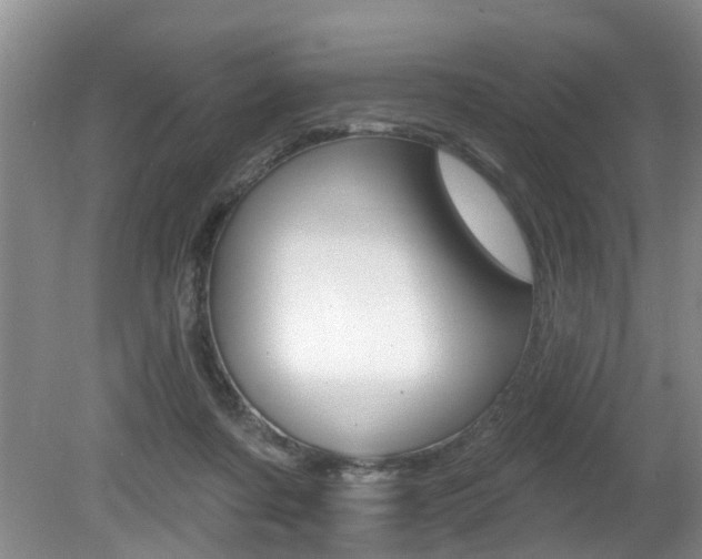 X0000080790311200612151105