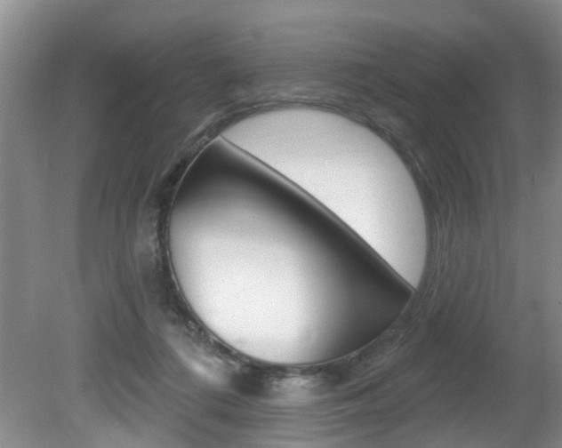 X0000080790312200612151105