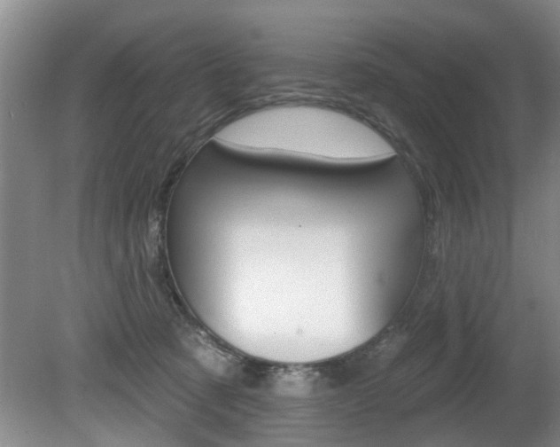 X0000080790321200612151104