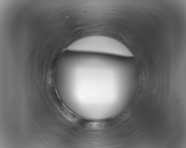 X0000080790323200612151104