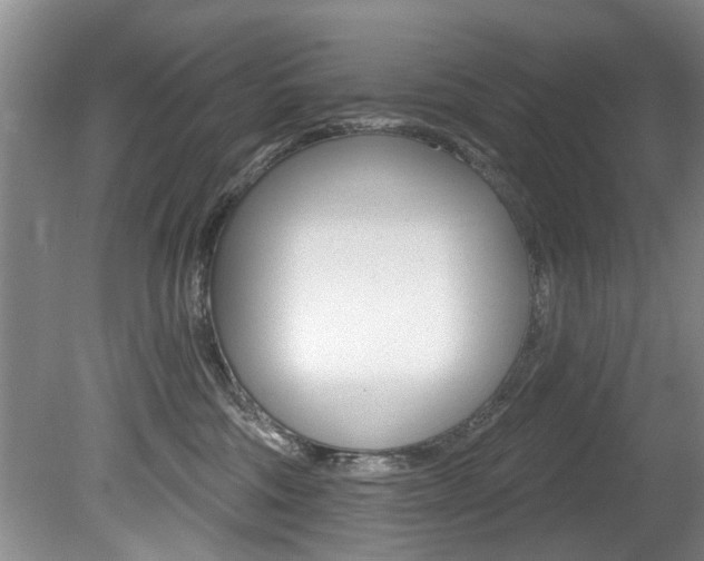 X0000080790330200612151104