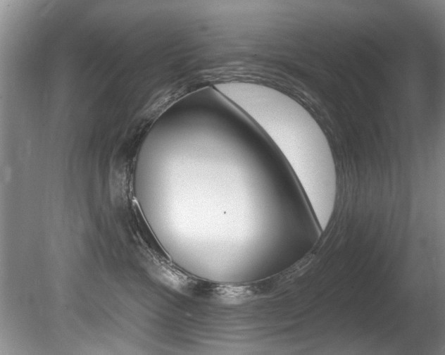 X0000080790333200612151104