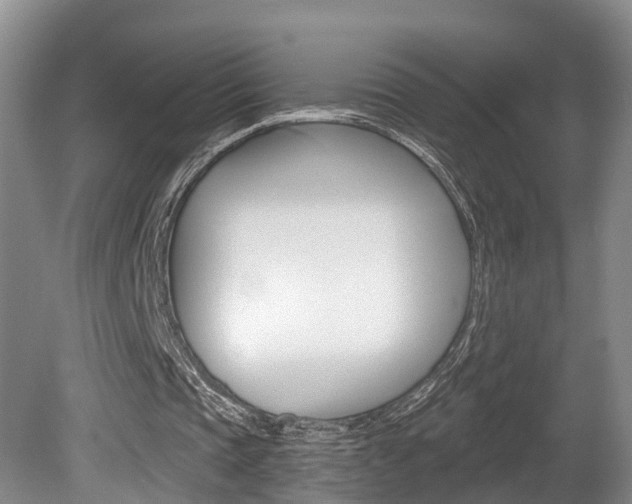 X0000080790337200612151103