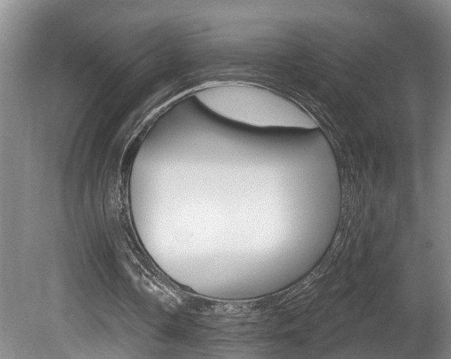 X0000080790338200612151103