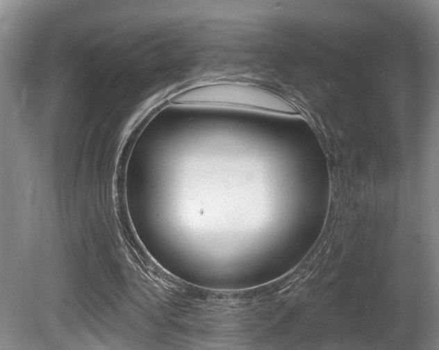 X0000080790340200612151103