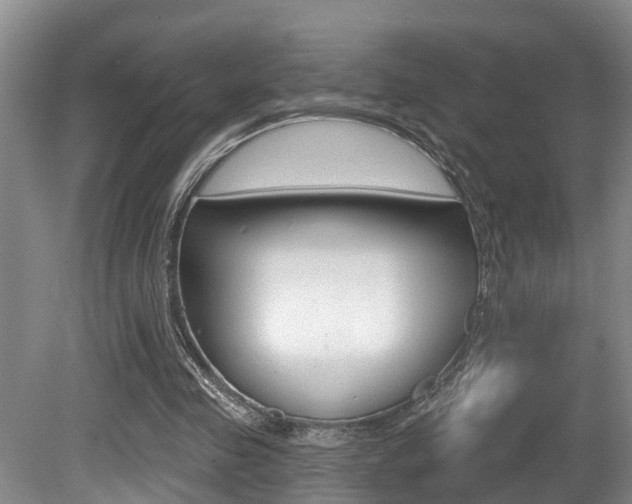 X0000080790341200612151103