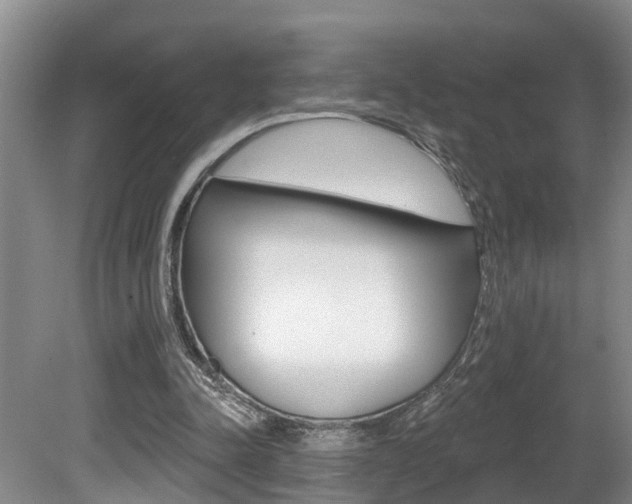 X0000080790342200612151103