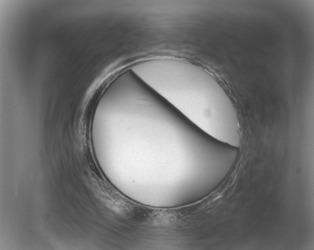 X0000080790343200612151103