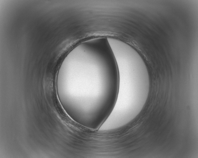 X0000080790348200612151104