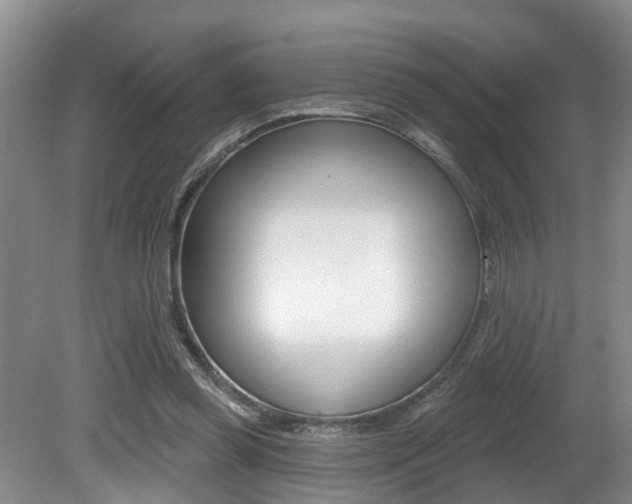 X0000080790349200612151104