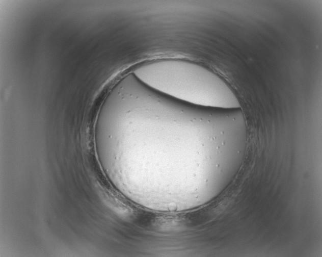 X0000080790351200612151104