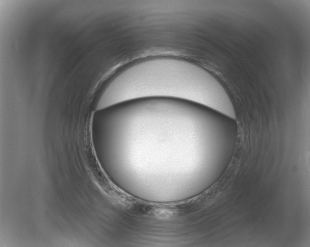 X0000080790352200612151104