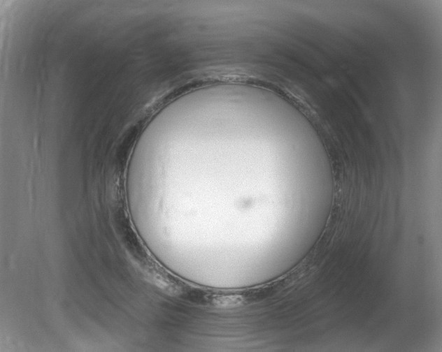 X0000080790355200612151104