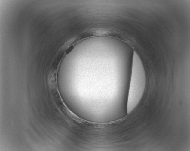 X0000080790360200612151104