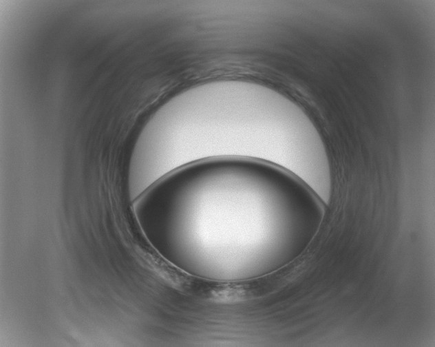 X0000080790362200612151104