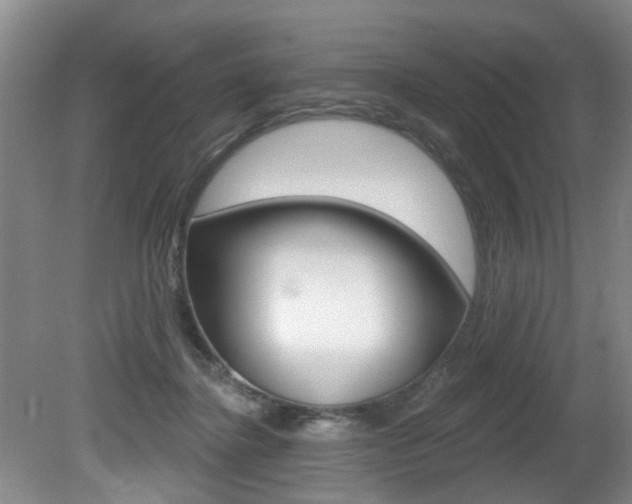 X0000080790364200612151104