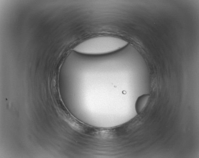 X0000080790365200612151104