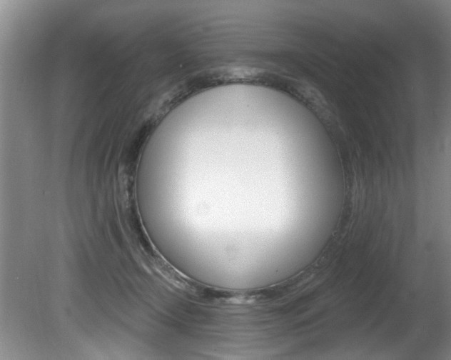 X0000080790366200612151104