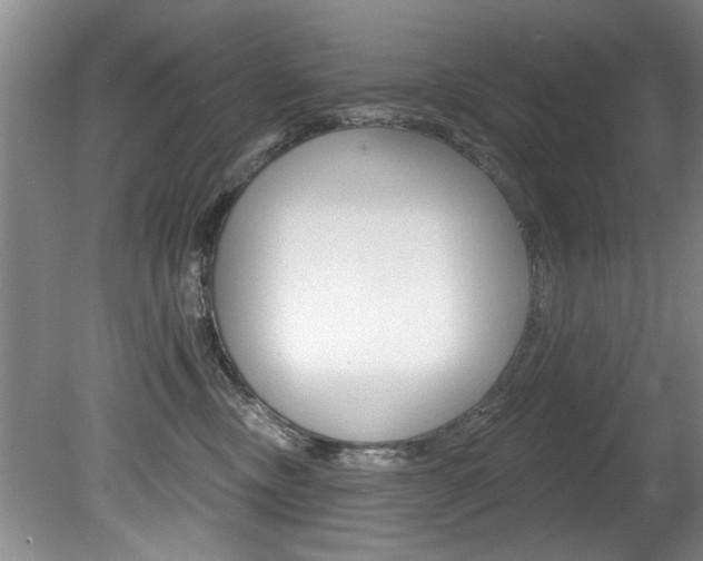 X0000080790378200612151104