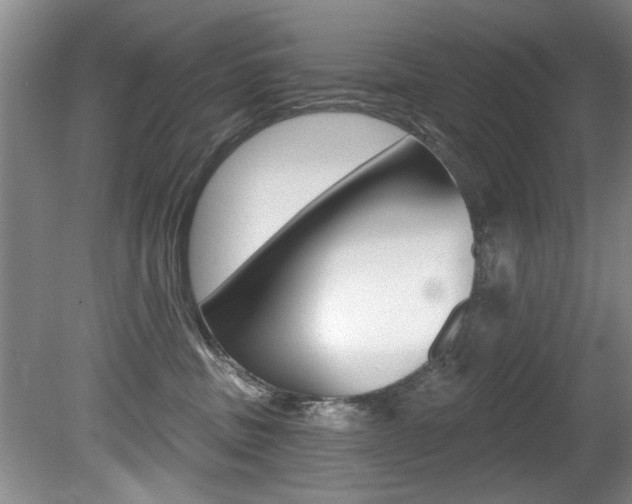 X0000080790379200612151104