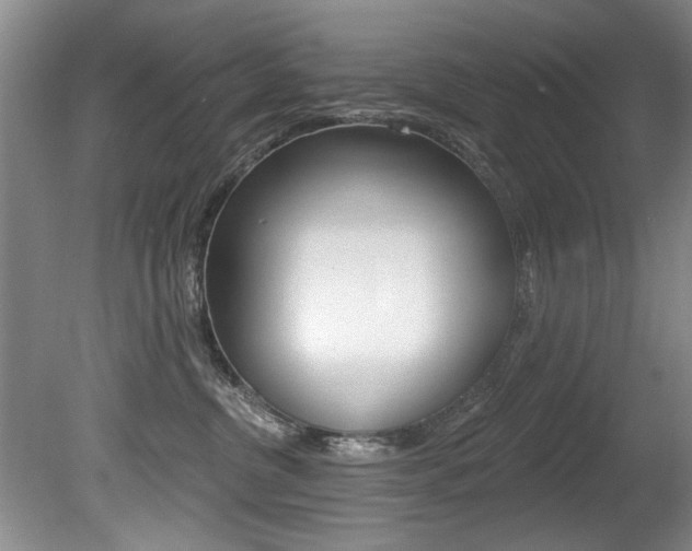 X0000080790380200612151104