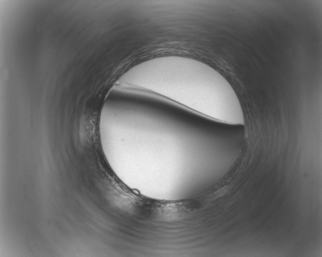 X0000080790382200612151104