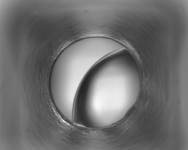 X0000080790385200612151103