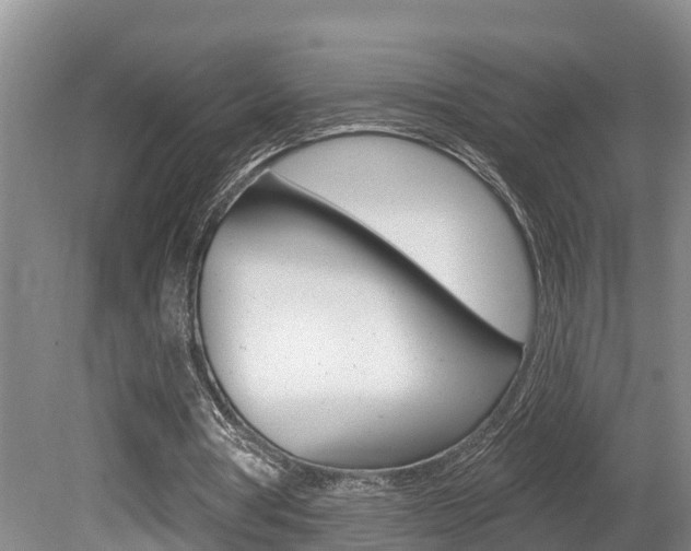 X0000080790386200612151103