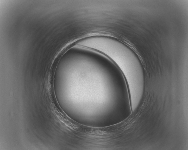 X0000080790387200612151103