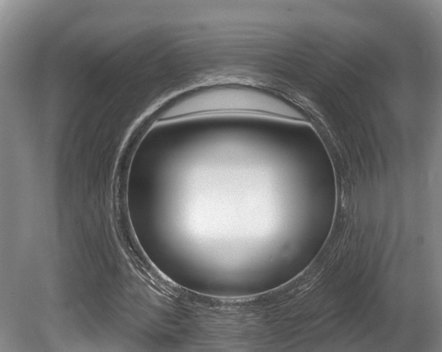 X0000080790388200612151103