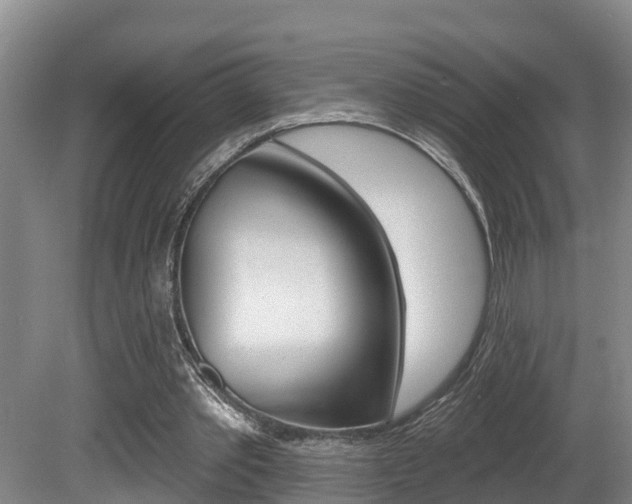X0000080790389200612151103