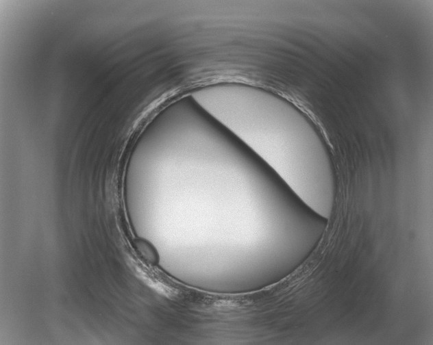 X0000080790390200612151103