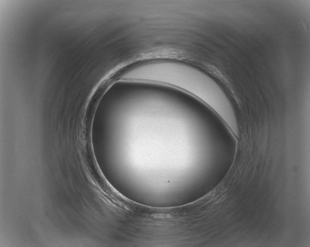 X0000080790392200612151103
