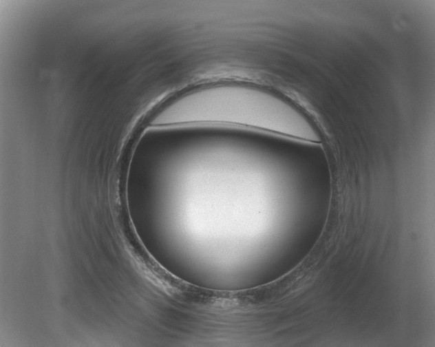 X0000080790399200612151103