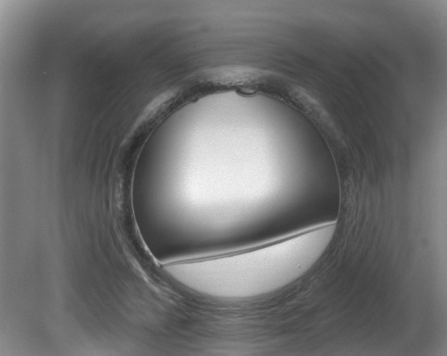 X0000080790400200612151103