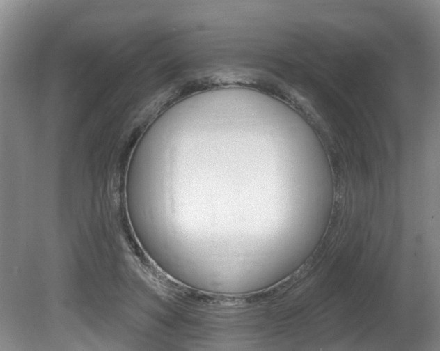 X0000080790402200612151103