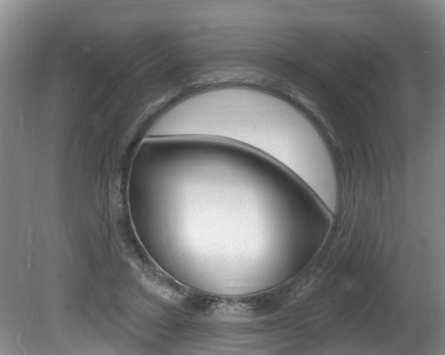 X0000080790403200612151103
