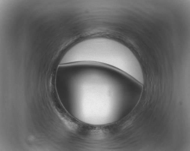 X0000080790404200612151103