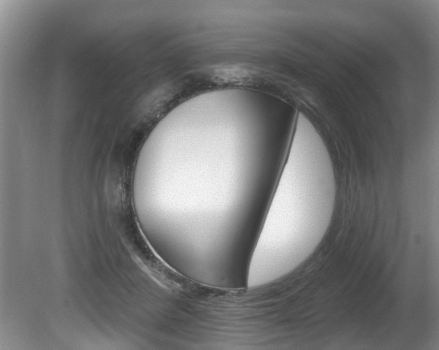 X0000080790408200612151103