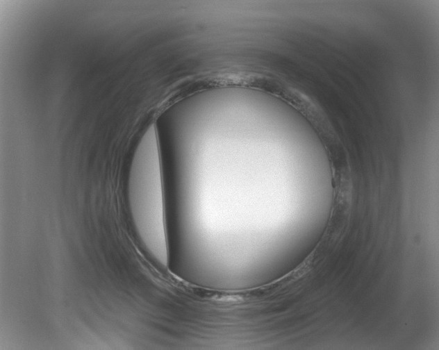 X0000080790409200612151103